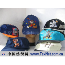 北京宁晖兴业科技有限公司 -各式外贸卡通运动帽